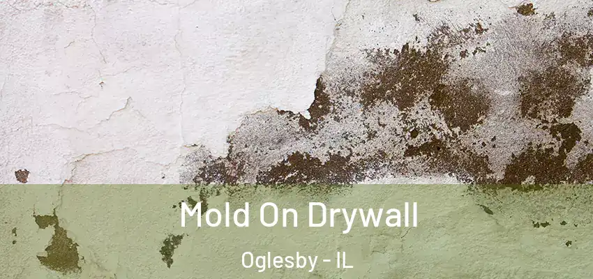  Mold On Drywall Oglesby - IL