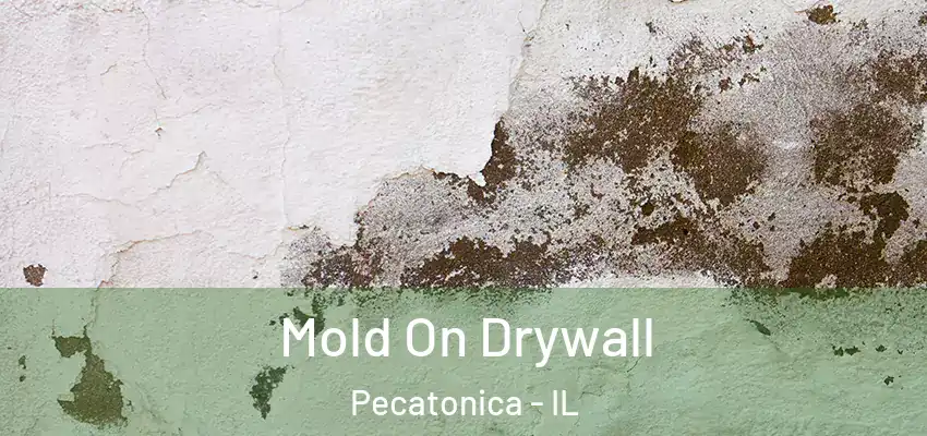  Mold On Drywall Pecatonica - IL