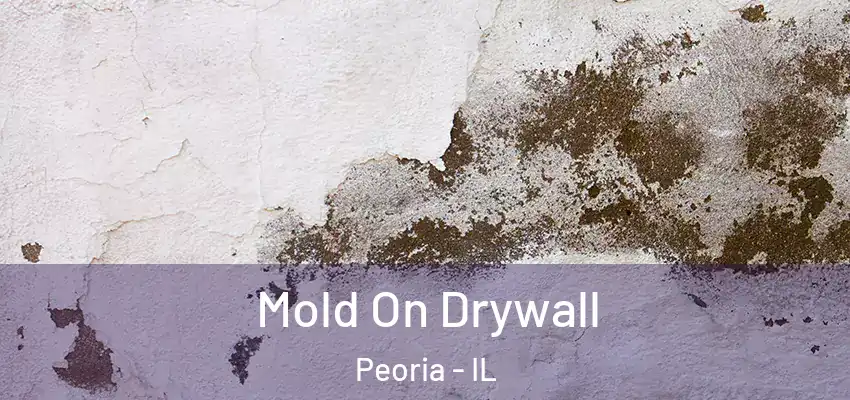  Mold On Drywall Peoria - IL