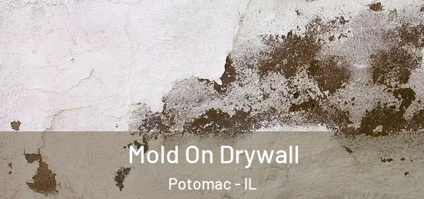  Mold On Drywall Potomac - IL