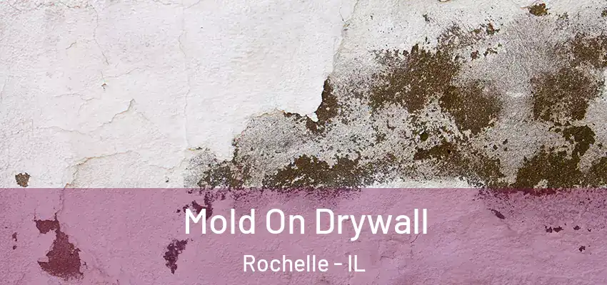  Mold On Drywall Rochelle - IL
