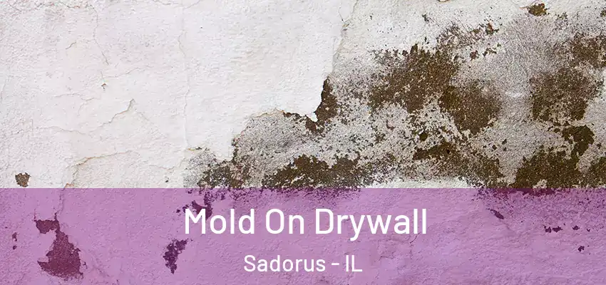  Mold On Drywall Sadorus - IL