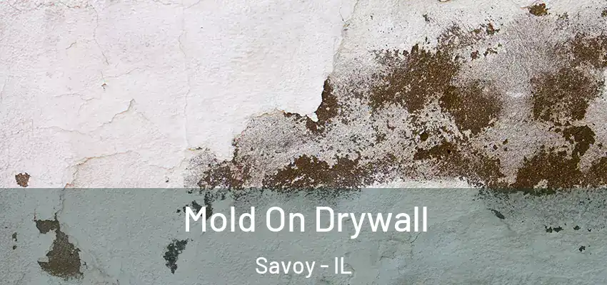  Mold On Drywall Savoy - IL