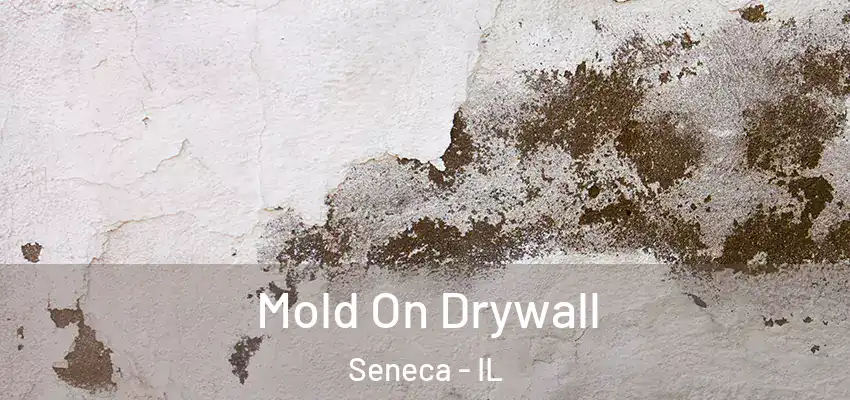 Mold On Drywall Seneca - IL
