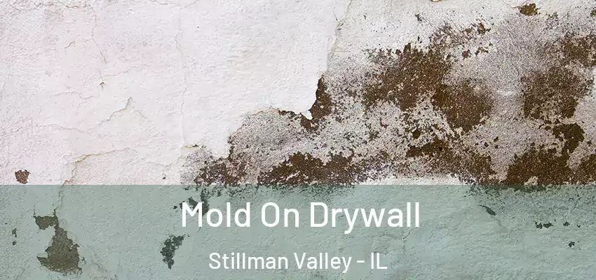  Mold On Drywall Stillman Valley - IL