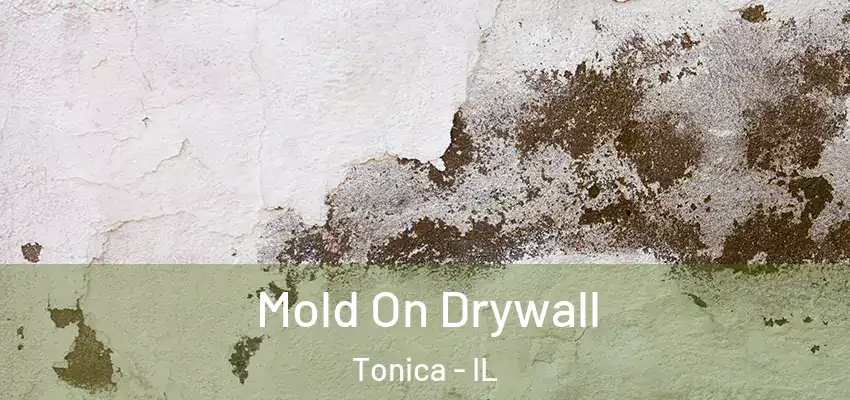  Mold On Drywall Tonica - IL