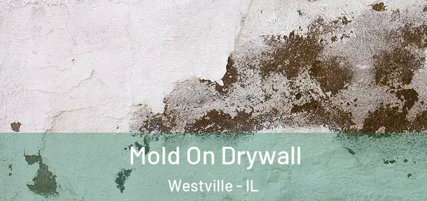  Mold On Drywall Westville - IL