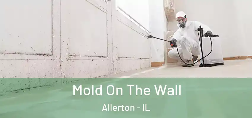  Mold On The Wall Allerton - IL