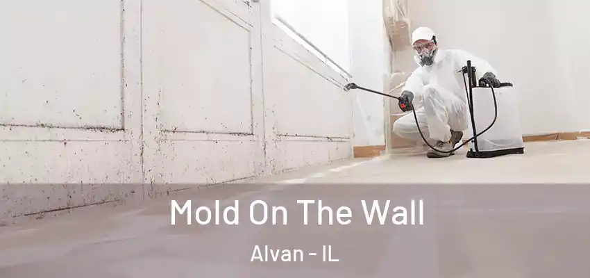  Mold On The Wall Alvan - IL