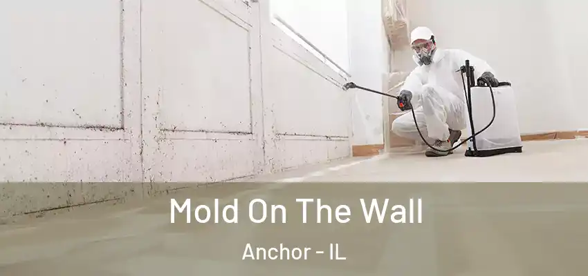  Mold On The Wall Anchor - IL