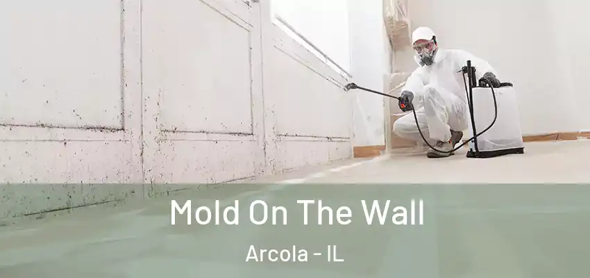  Mold On The Wall Arcola - IL