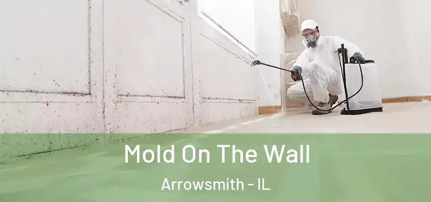 Mold On The Wall Arrowsmith - IL