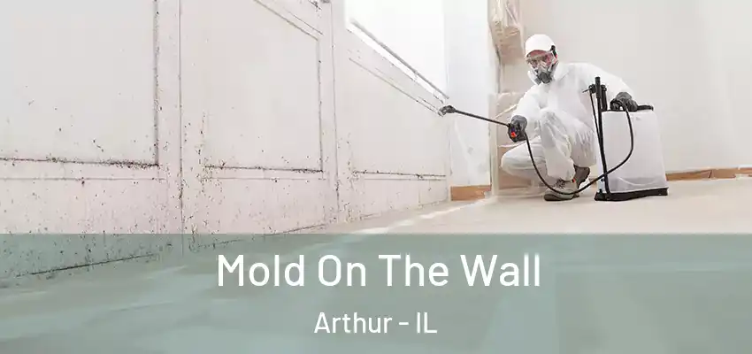  Mold On The Wall Arthur - IL