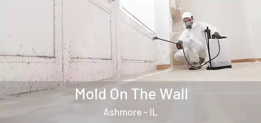 Mold On The Wall Ashmore - IL