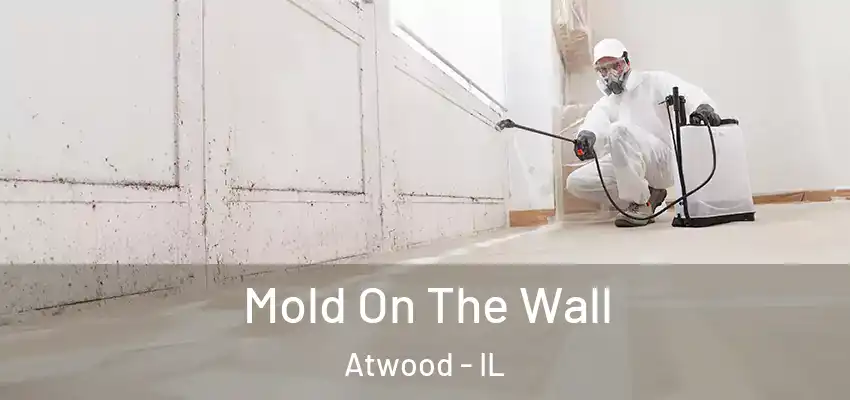  Mold On The Wall Atwood - IL