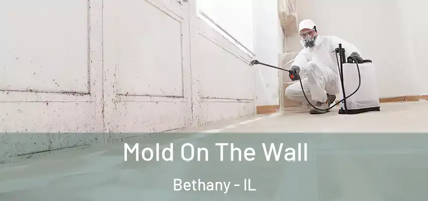 Mold On The Wall Bethany - IL