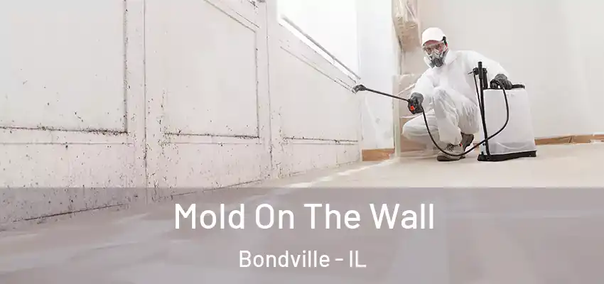  Mold On The Wall Bondville - IL