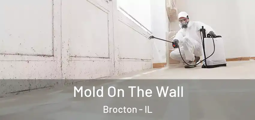  Mold On The Wall Brocton - IL