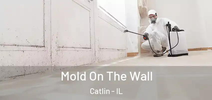 Mold On The Wall Catlin - IL