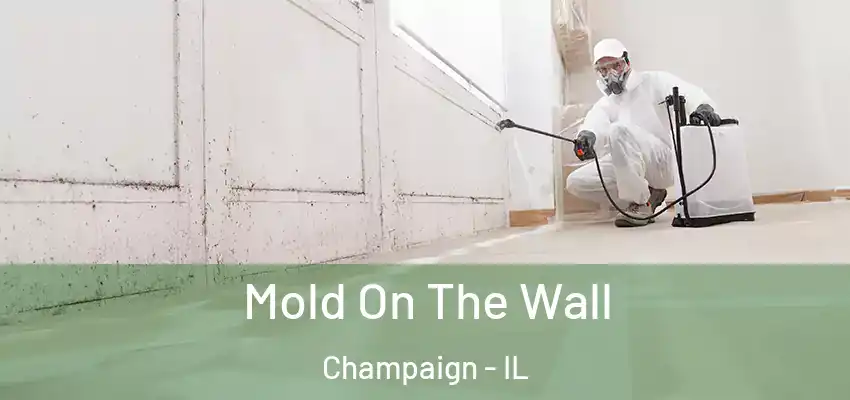  Mold On The Wall Champaign - IL