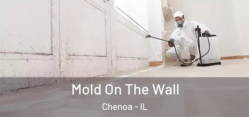  Mold On The Wall Chenoa - IL
