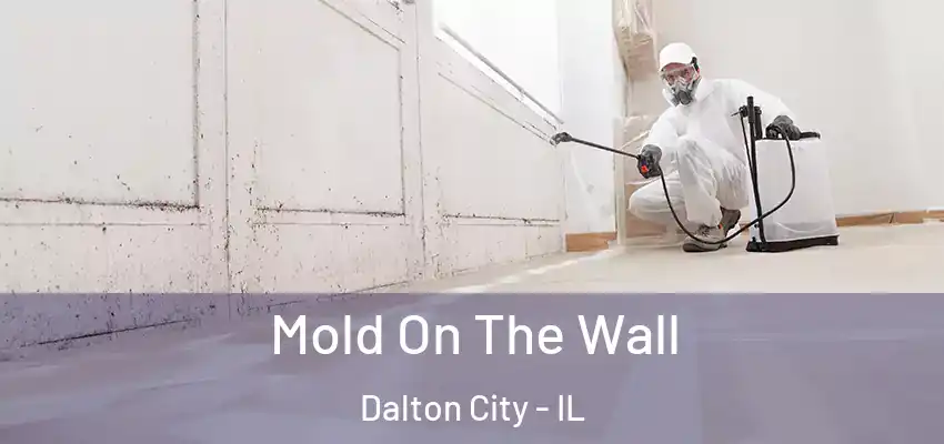  Mold On The Wall Dalton City - IL