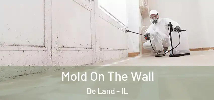  Mold On The Wall De Land - IL