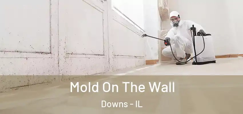  Mold On The Wall Downs - IL