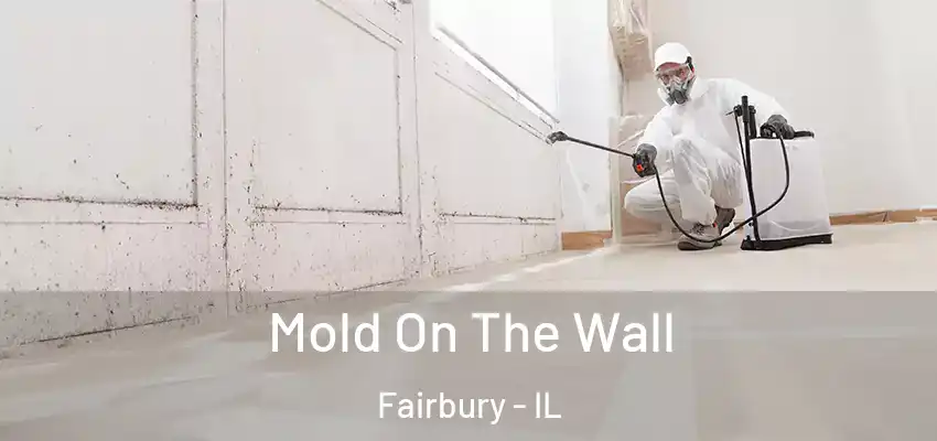  Mold On The Wall Fairbury - IL