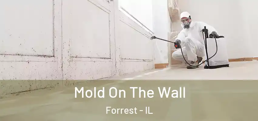  Mold On The Wall Forrest - IL