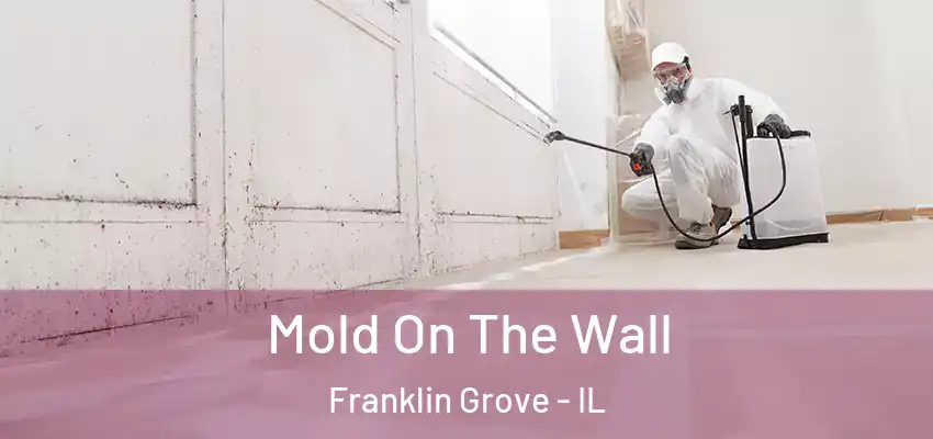  Mold On The Wall Franklin Grove - IL