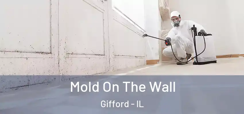  Mold On The Wall Gifford - IL