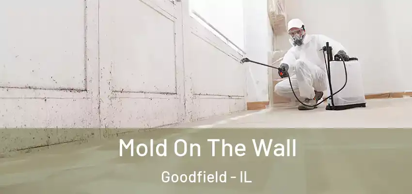  Mold On The Wall Goodfield - IL