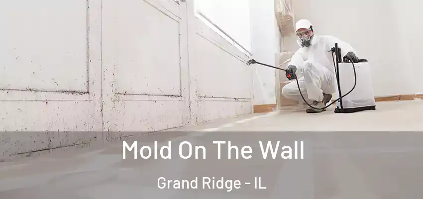  Mold On The Wall Grand Ridge - IL