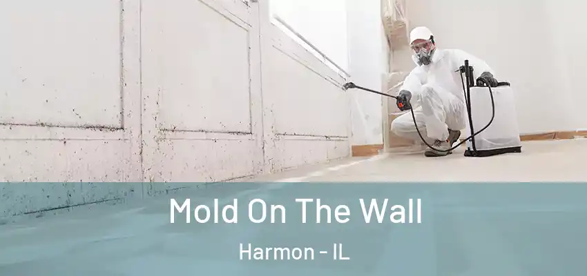 Mold On The Wall Harmon - IL