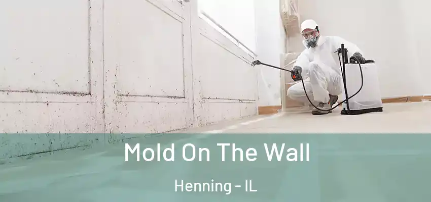  Mold On The Wall Henning - IL