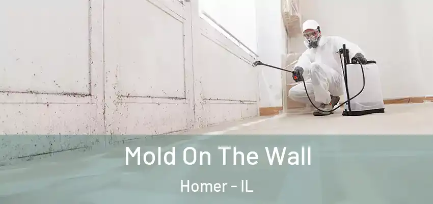  Mold On The Wall Homer - IL