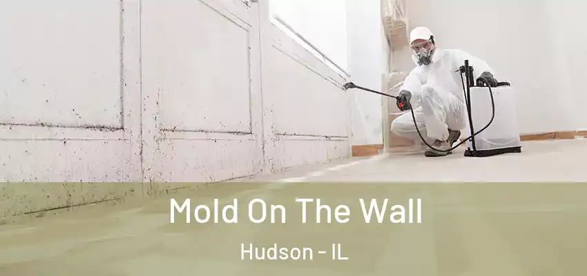  Mold On The Wall Hudson - IL
