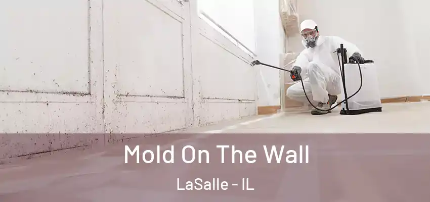  Mold On The Wall LaSalle - IL