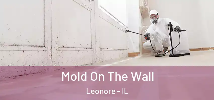  Mold On The Wall Leonore - IL