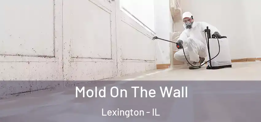  Mold On The Wall Lexington - IL