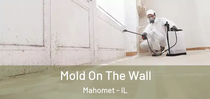  Mold On The Wall Mahomet - IL