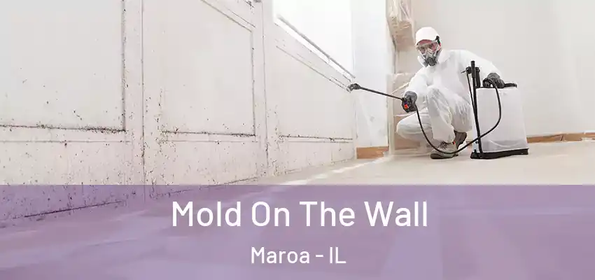  Mold On The Wall Maroa - IL