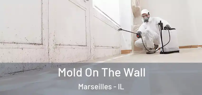  Mold On The Wall Marseilles - IL