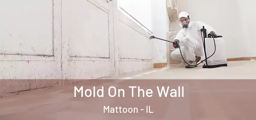  Mold On The Wall Mattoon - IL