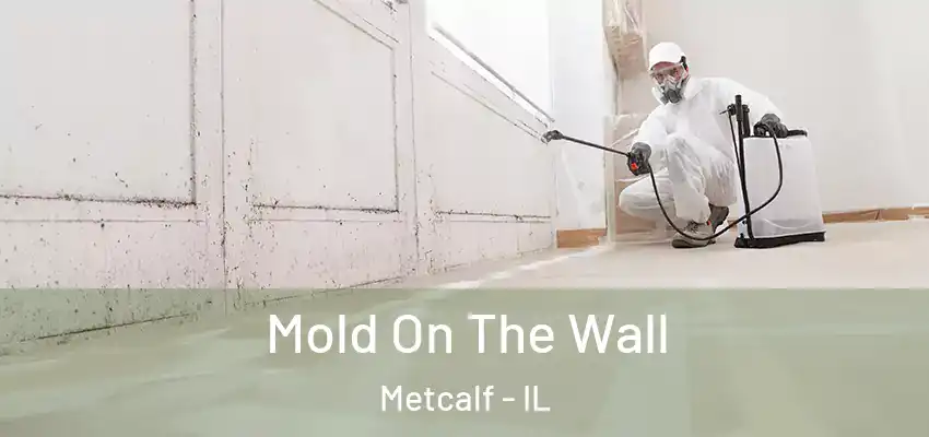  Mold On The Wall Metcalf - IL