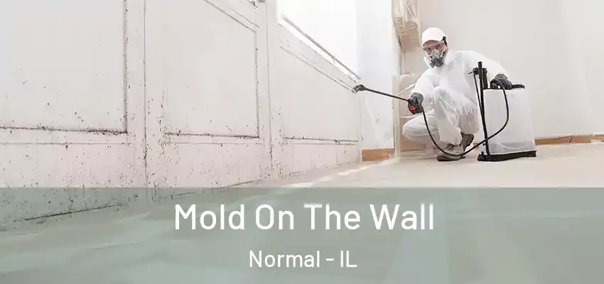 Mold On The Wall Normal - IL
