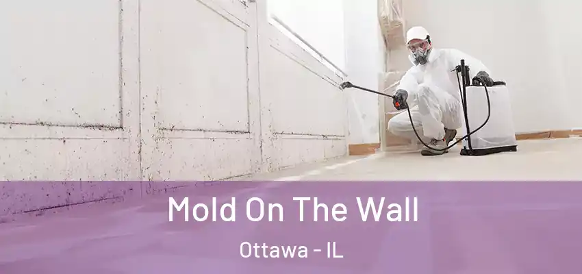 Mold On The Wall Ottawa - IL