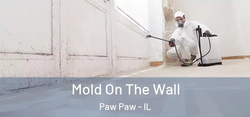  Mold On The Wall Paw Paw - IL