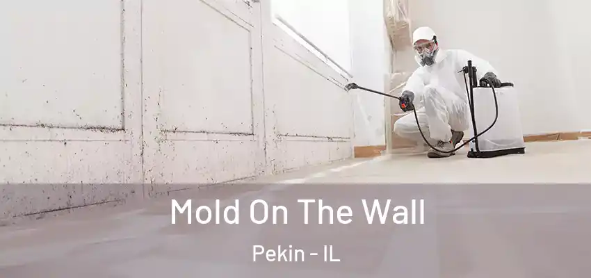  Mold On The Wall Pekin - IL